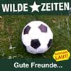 Cover: Gute Freunde...